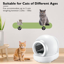 Cargar imagen en el visor de la galería, Self Cleaning Litter Box,Automatic Cat Litter Box Self Cleaning Large Capacity for Multiple Cats,APP Control/Low Noise/Safety with Ladder Box
