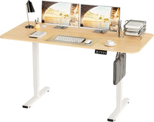 Cargar imagen en el visor de la galería, Electric Height Adjustable Standing Desk Large Sit Stand up Desk Home Office Computer Desk 55 x 24 Inches Lift Table with T-Shaped Metal Bracket, Walnut